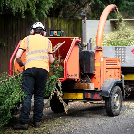 A worker in an orange safety vest and ear protection feeds tree branches into an orange wood chipper, with a pile of wood chips forming and a truck parked nearby.
