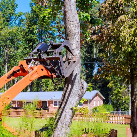 A construction vehicle with a hydraulic grapple attachment grips a tree trunk, preparing to remove or trim it in a residential area with a house and wooden fence in the background.