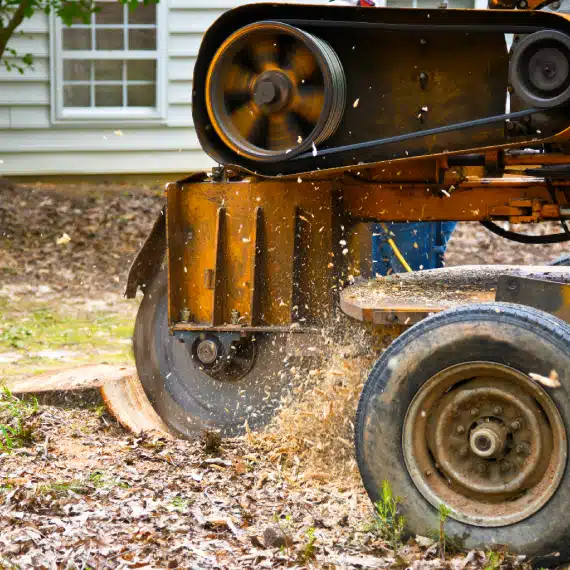 A stump grinder machine grinds a tree stump in a yard, sending wood chips and debris flying. A house with white siding and a window is visible in the background.
