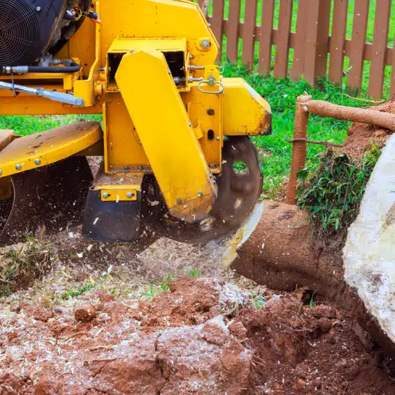 A yellow stump grinder machine is grinding a tree stump in a yard with grass and dirt, creating wood chips and sawdust. A wooden fence is visible in the background.